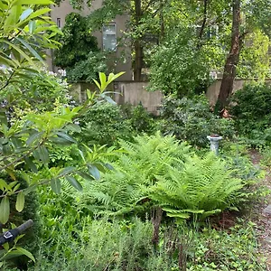  Appartement Zentral Gelegen - Stilvolles In Moabit